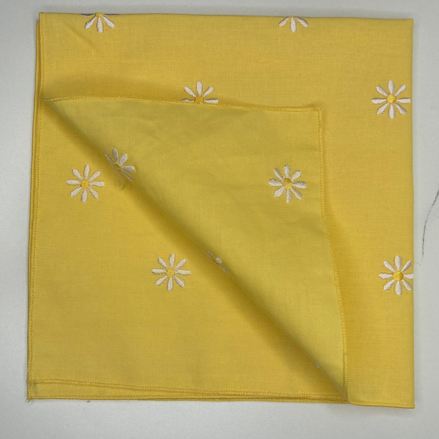 Yellow Daisy 'Dana