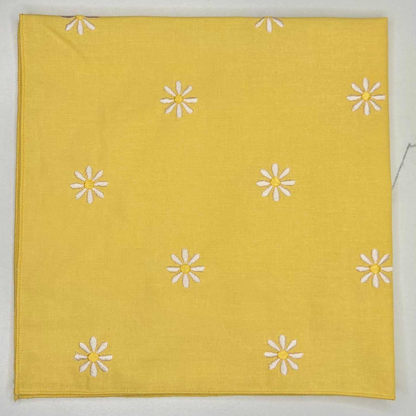 Yellow Daisy 'Dana