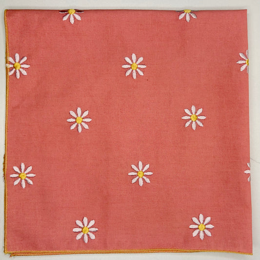 Pink Daisy 'Dana
