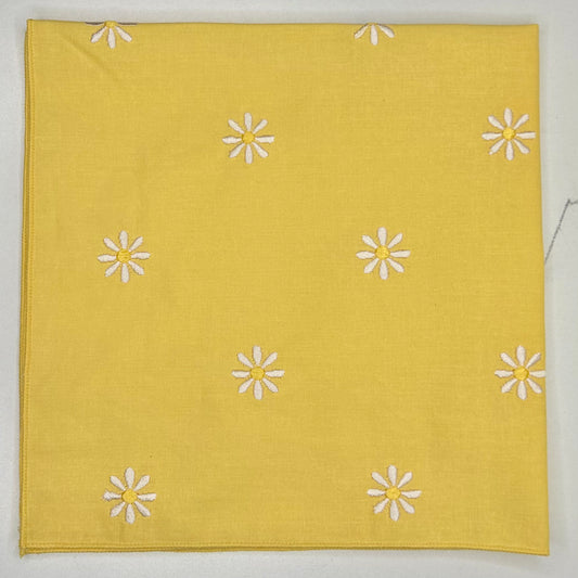 Yellow Daisy 'Dana